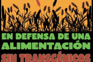 Madrid, 30 de agosto : por una alimentación sin transgénicos