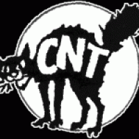 Logo CNT-f