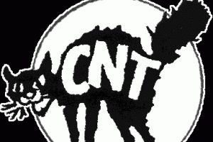 Logo CNT-f