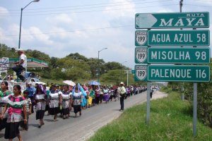 Asesinan a ejidatario de La Otra Campaña en Bachajón, Chiapas