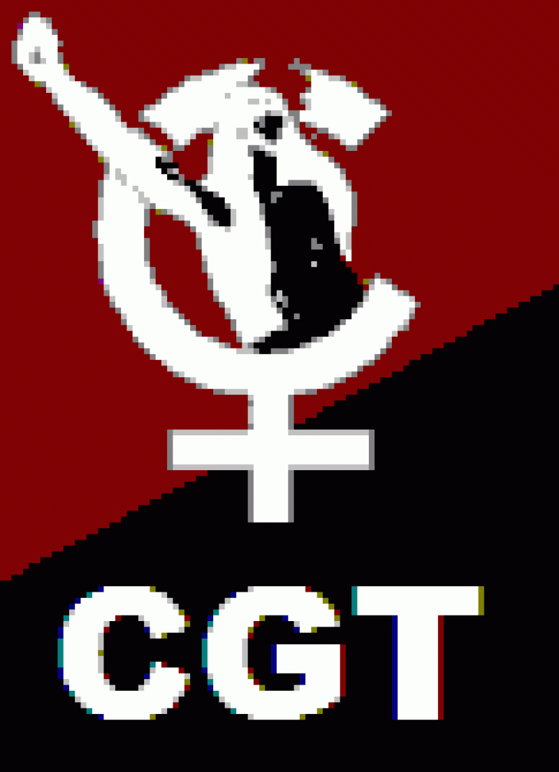 Logos y motivos CGT - Imagen-13