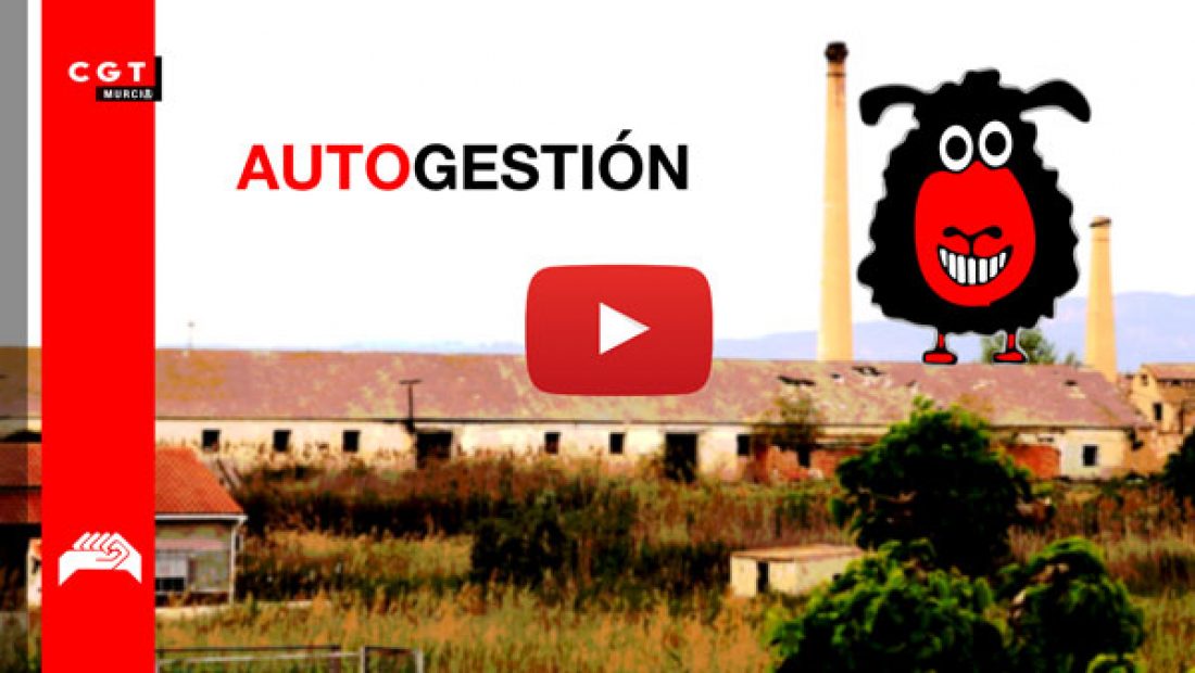 Vídeo: ON – Autogestión