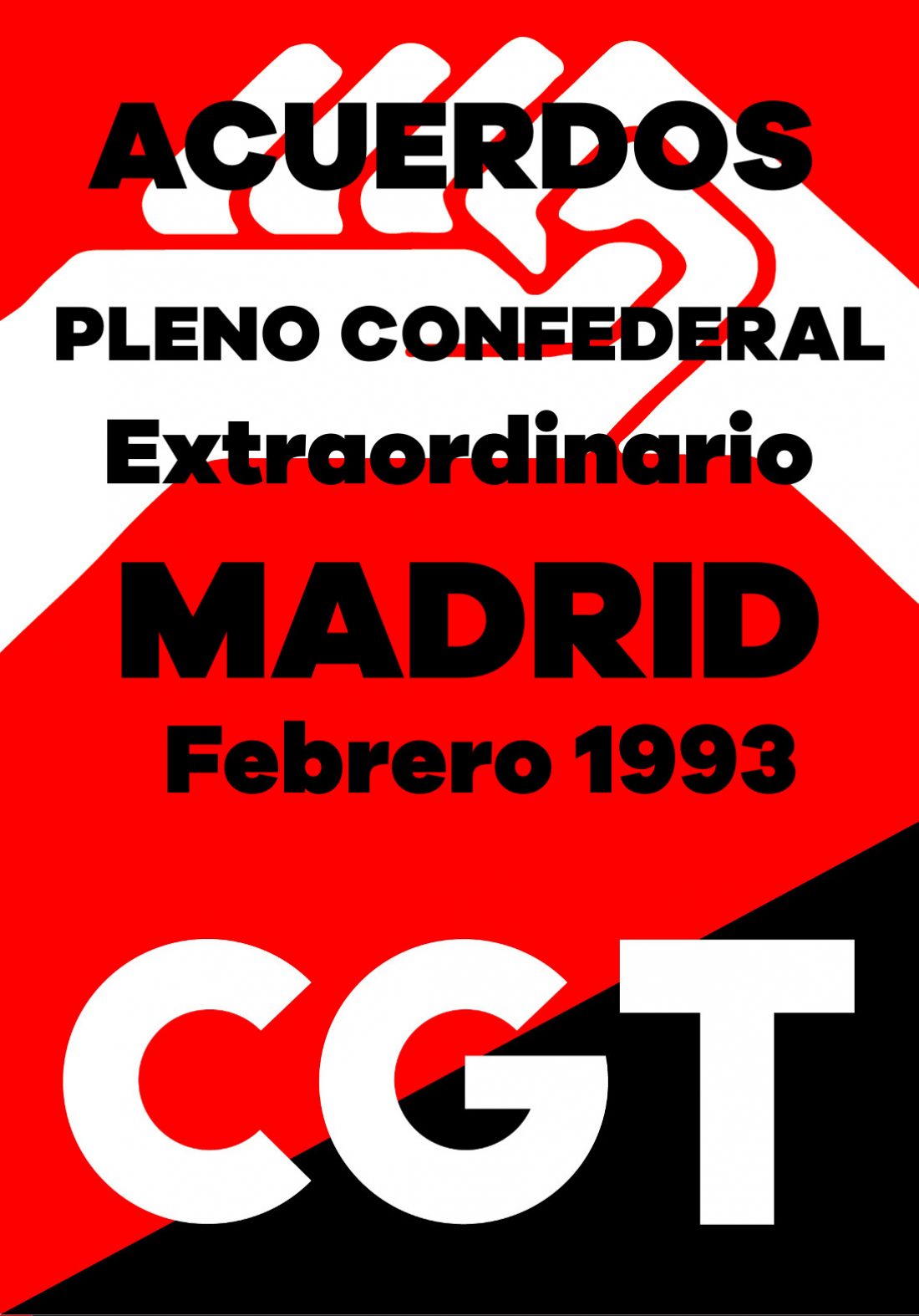Pleno Confederal Extraordinario de Febrero de 1993
