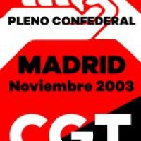 Pleno Confederal de Noviembre de 2003