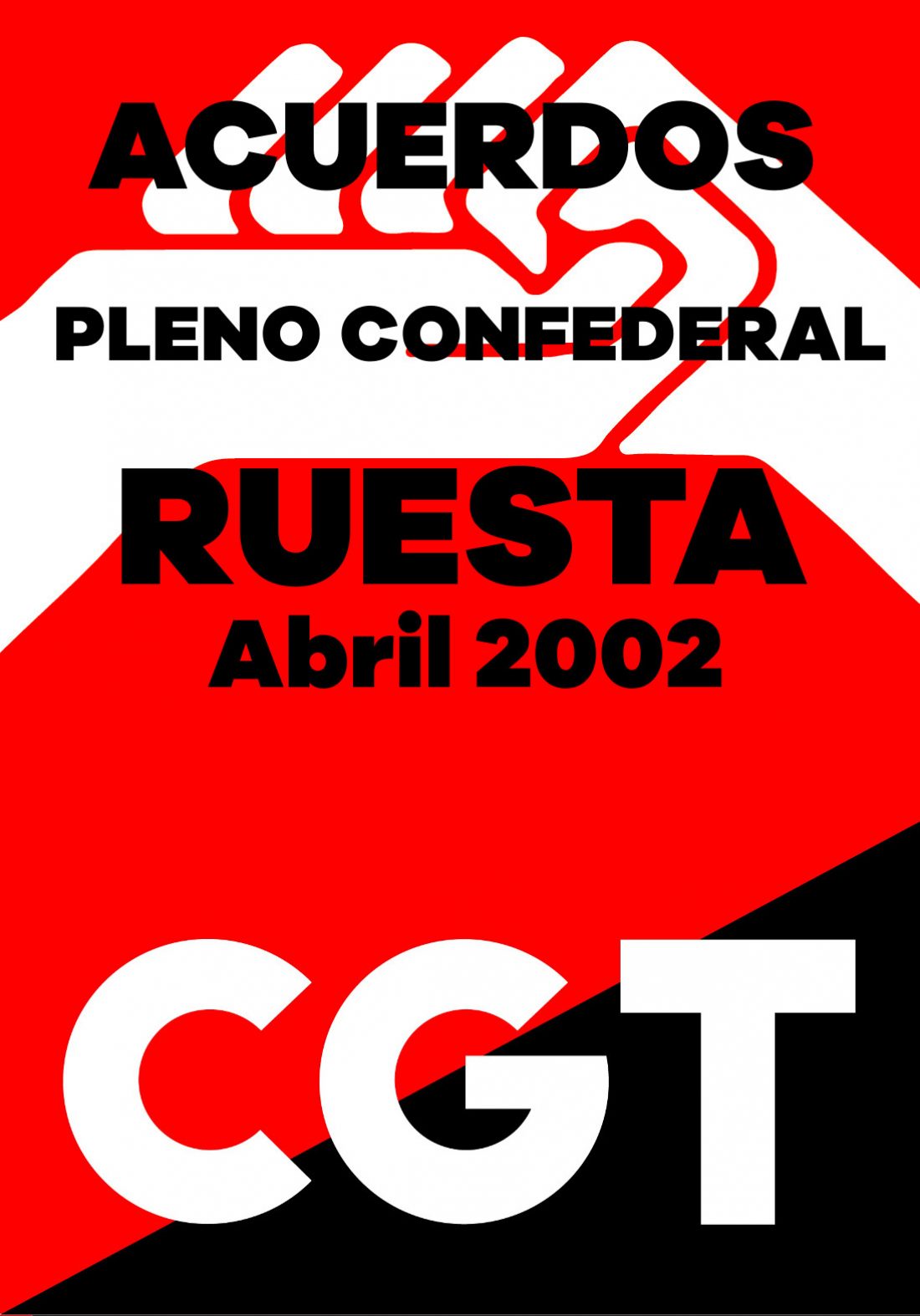 Pleno Confederal de Abril de 2002