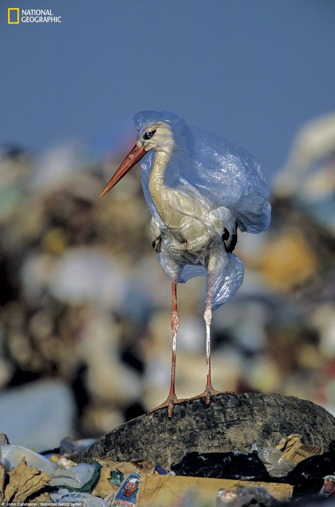 CGT celebra el Día Mundial del Medio Ambiente uniéndose a una campaña contra el vertido de plásticos en nuestras aguas