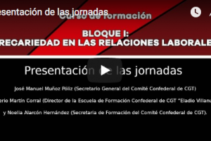 Vídeo: Jornadas sobre Precariedad en las Relaciones Laborales