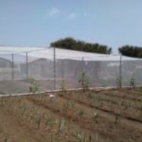 Solidaridad con las trabajadoras en lucha en Frutas Raquel – Marruecos