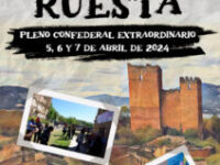 Acuerdos Pleno Confederal de Ruesta (abril 2024)