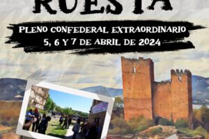 Acuerdos Pleno Confederal de Ruesta (abril 2024)