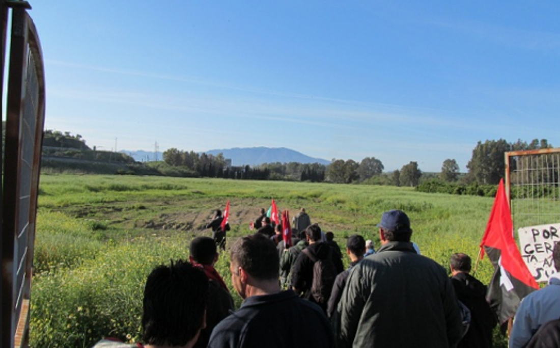 Sentencia sobre la ocupación de la finca en Pizarra (Málaga) en 2013