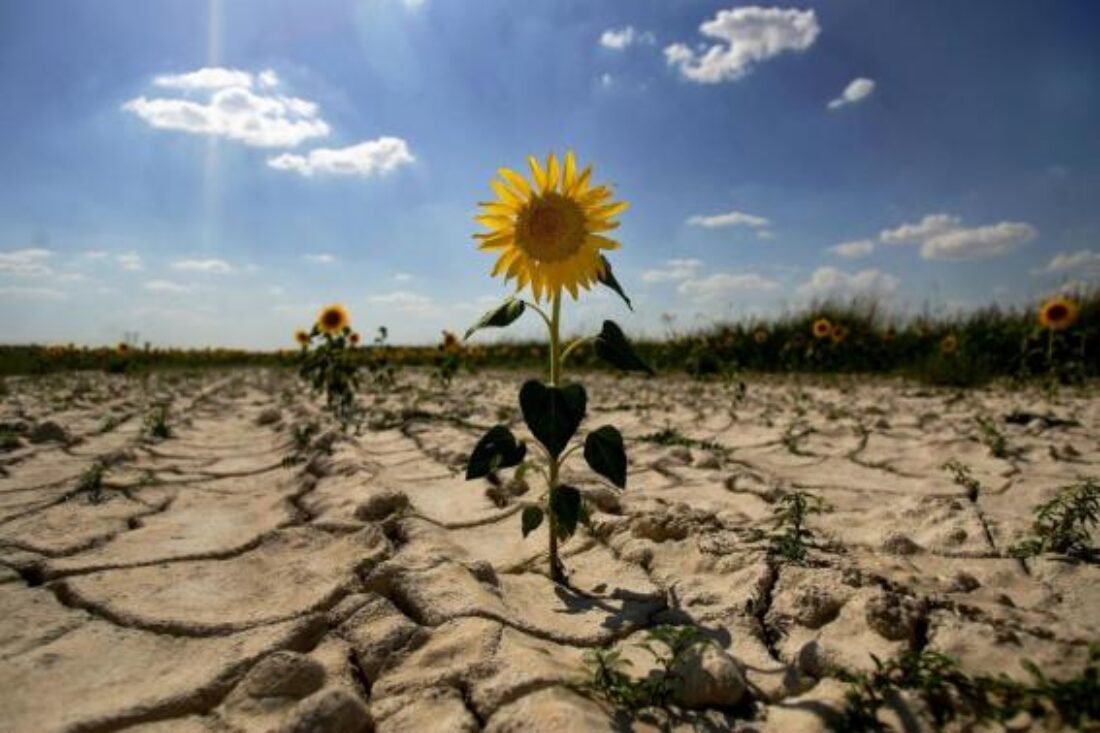 Por unas medidas urgentes, efectivas y justas para la sociedad contra el cambio climático