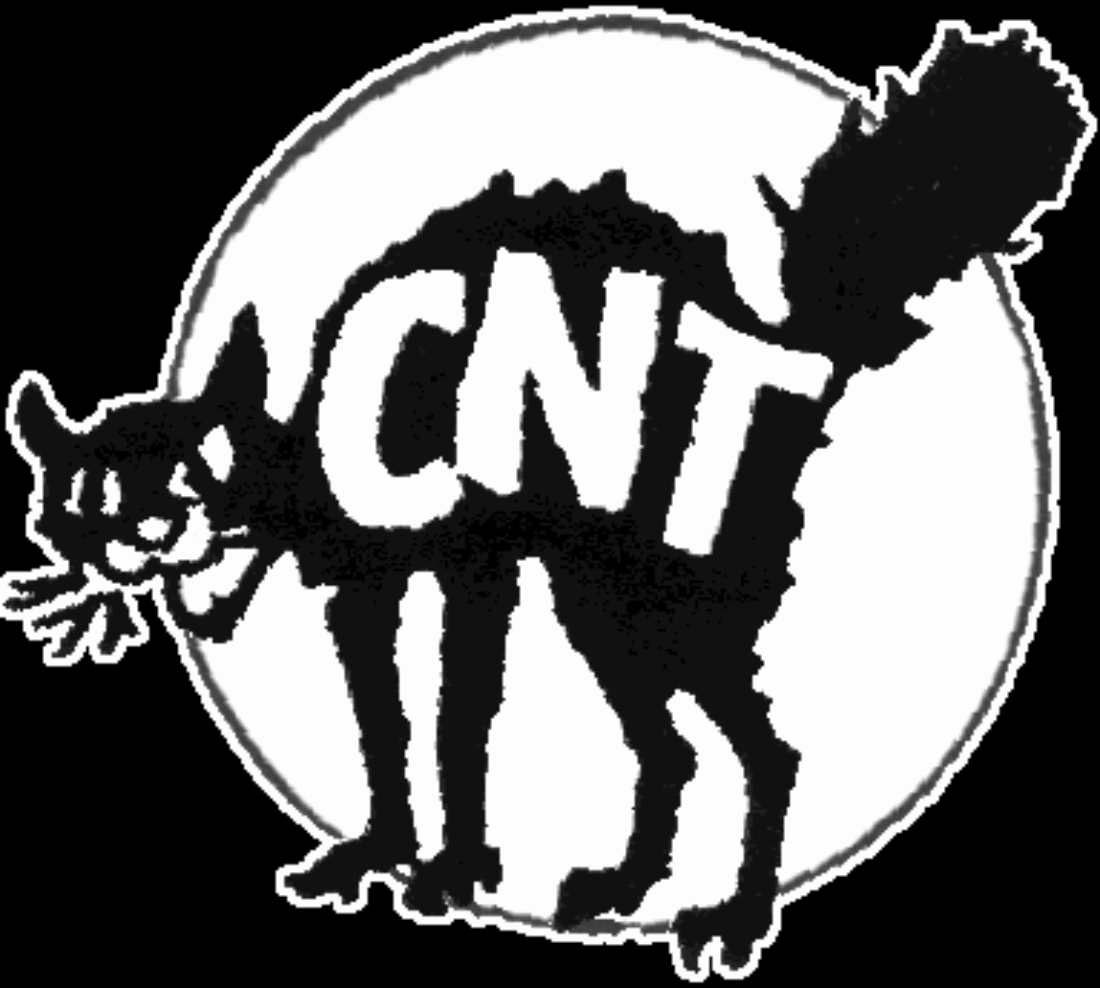 Logo CNT-f